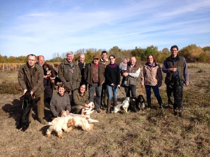 Du Bas Bocage - 3ème Field : Oléron