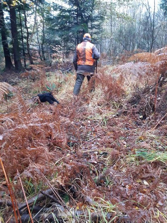 Du Bas Bocage - Field automne 2019 et rencontres st Hubert