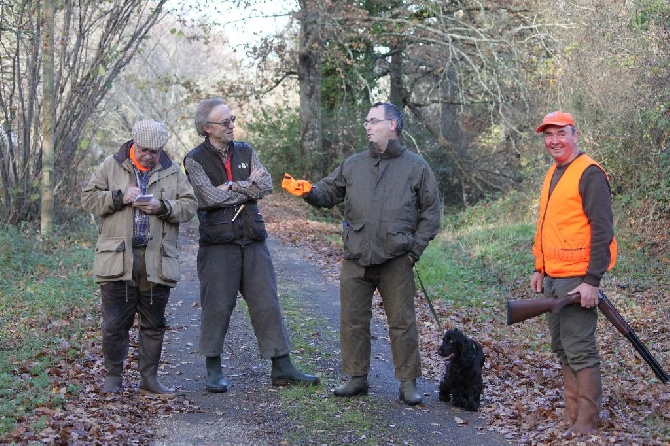 Du Bas Bocage - Dernier Field : Montesquieu