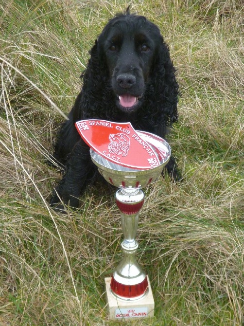 Du Bas Bocage - Gwenn championne de travail