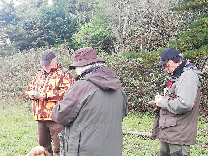 Du Bas Bocage - Bilan de la saison de printemps 2020