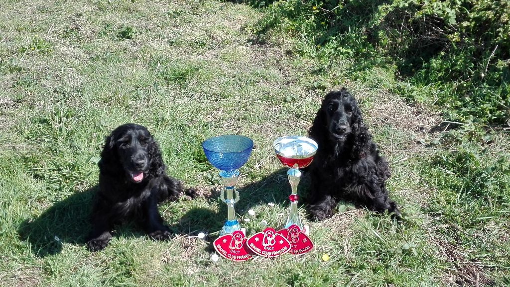 Du Bas Bocage - Field d'Oléron et trophée de printemps