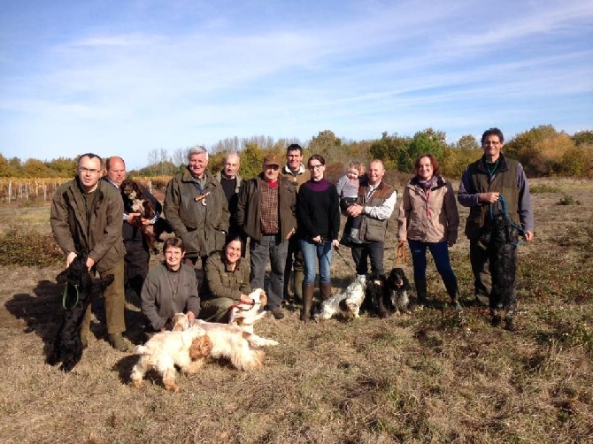 Du Bas Bocage - 3ème Field : Oléron