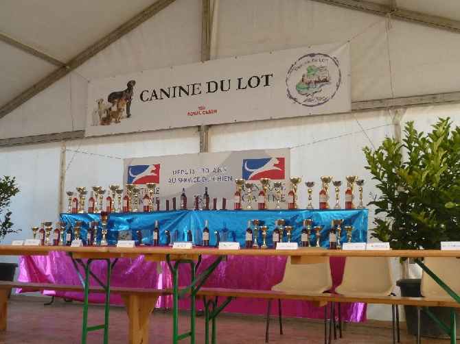 Du Bas Bocage - 1er Field de la saison 2016 : Villesèque