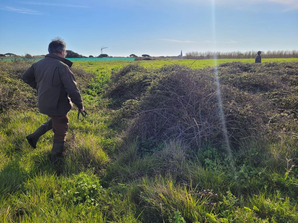 Dernier field de la saison : ile de Ré